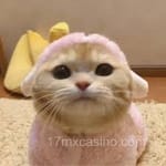 Avatar de María José Valdés